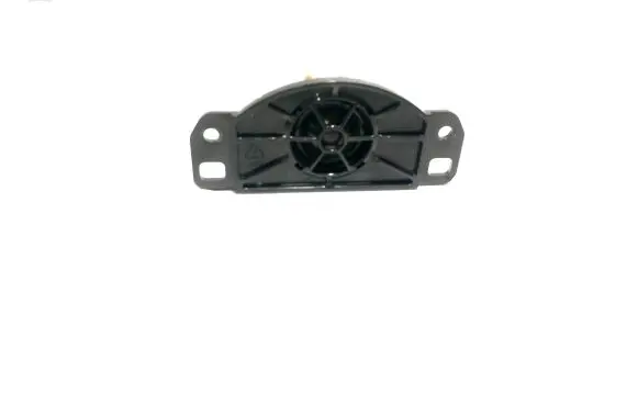 Panel speaker