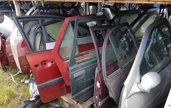 Hyundai Accent Rear door violetines