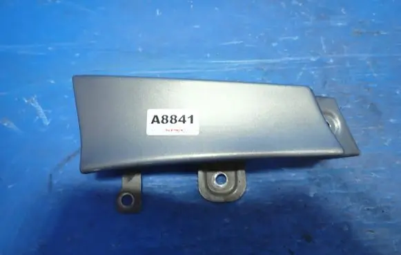 Rear/tail light trim molding