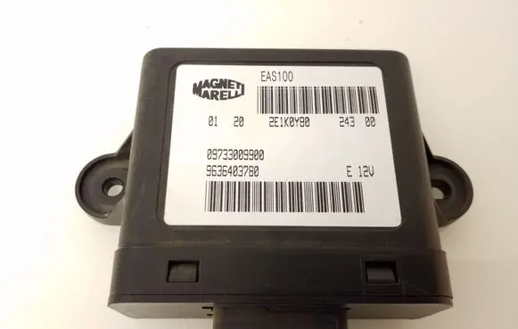 Peugeot 307 Other control units/modules 09733009900 9636403780