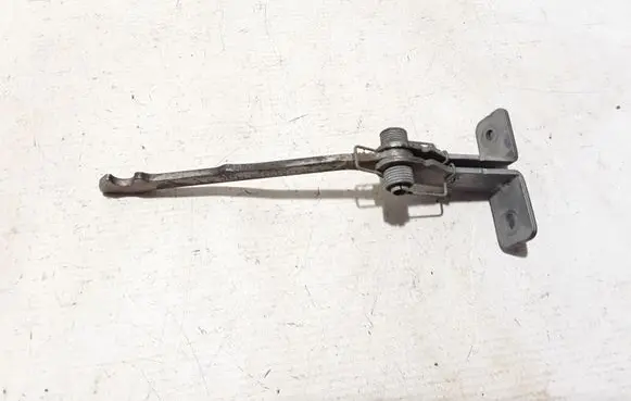 Dacia Dokker Loading door check strap stopper 904704935R