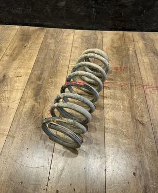 Rear coil spring