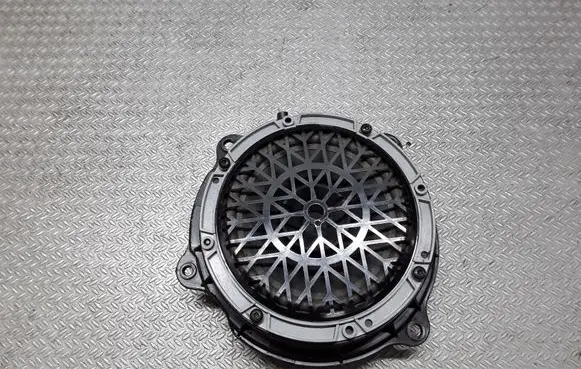 Citroen C5 Rear door speaker