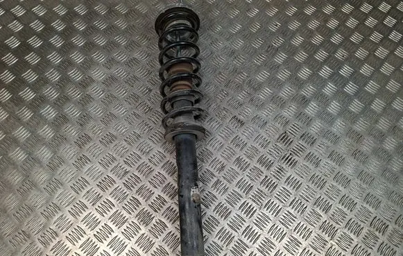 Rear shock absorber/damper