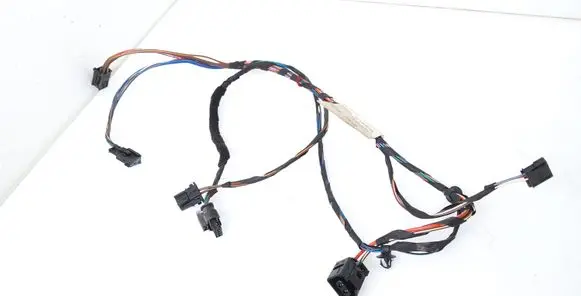 Front door wiring loom