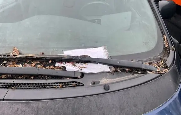 Toyota Previa (XR30, XR40) II Front wiper blade arm 