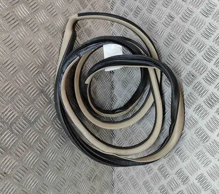 Toyota Land Cruiser (J120) Rubber seal front coupe door 6231260100A0