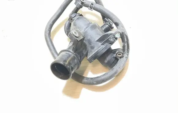 Thermostat/thermostat housing