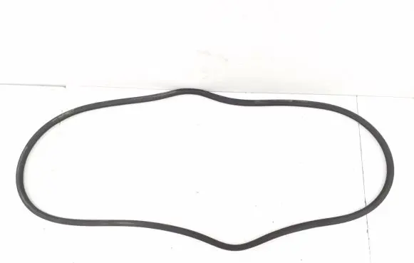Porsche Panamera (970) Front door rubber seal 97053726601
