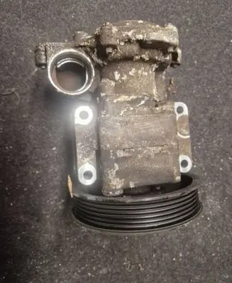 BMW 3 E46 Power steering pump S10F