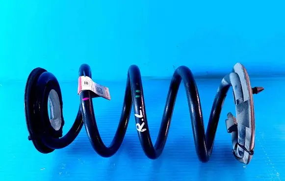 Tesla Model 3 Rear coil spring 104447201E
