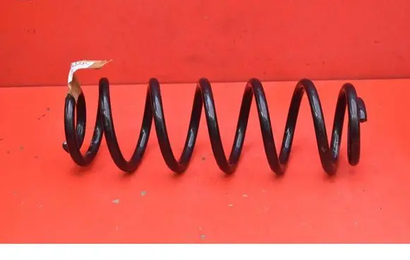 Volkswagen PASSAT B6 Rear coil spring 