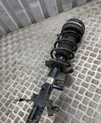 Land Rover Evoque I Rear shock absorber with coil spring BJ3218K004AE 313150704 D2ZBA