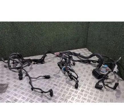 Citroen C4 Cactus Engine installation wiring loom F823700 BADR 9804849980