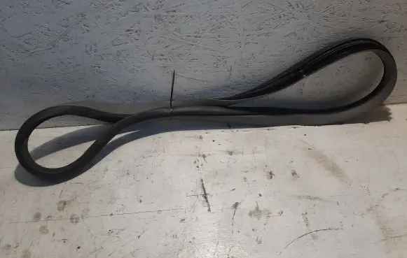 KIA Carnival Rear door rubber seal (on body) 