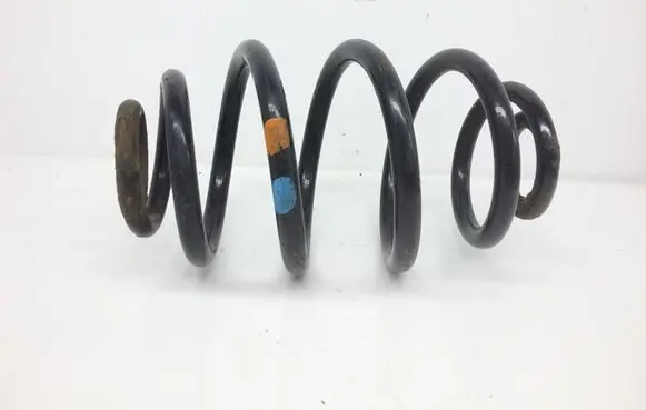 Volkswagen PASSAT B5.5 Rear coil spring