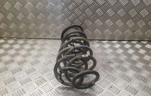 Rear coil spring