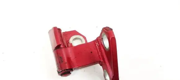 Rear door lower hinge