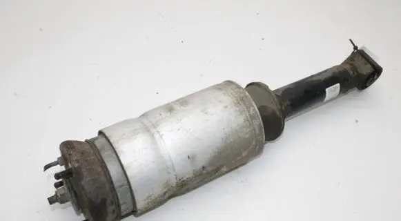 Land Rover Range Rover Sport L320 Air suspension front shock absorber RNB501320 22241478
