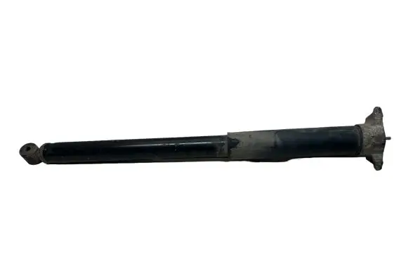Ford C-MAX II Rear shock absorber/damper AV6118080AA 111001