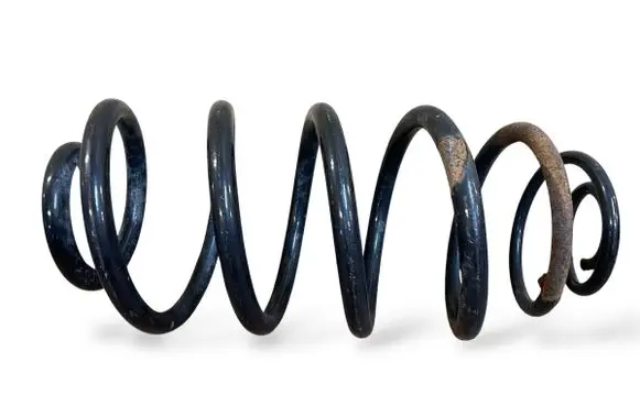 Rear coil spring