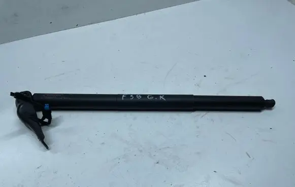 BMW X2 F39 Tailgate/trunk strut/damper 17893910