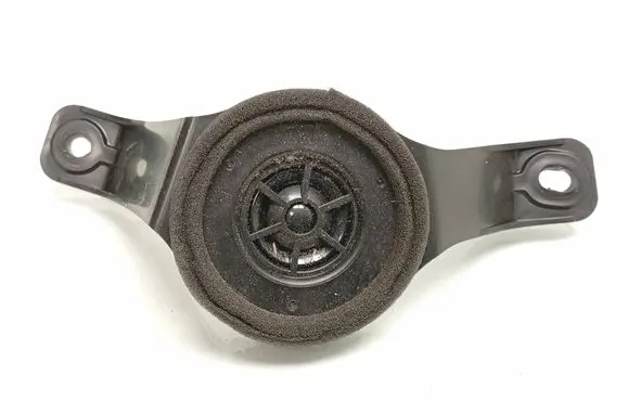 Front door high frequency speaker