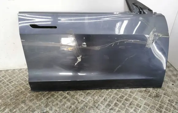 Tesla Model 3 Front door