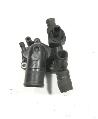 Thermostat/thermostat housing