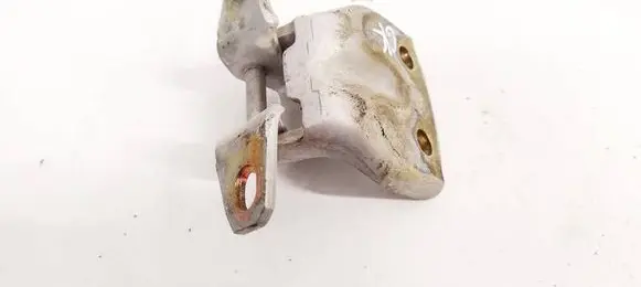 Hyundai Santa Fe Rear door lower hinge