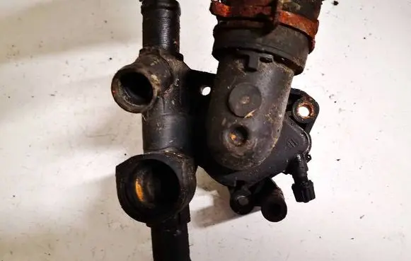Engine coolant pipe/hose