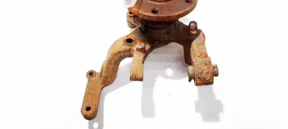 Skoda Octavia Mk2 (1Z) Rear wheel hub didzioji