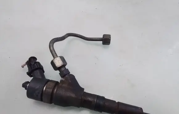 Citroen C5 Fuel injector 0445110076