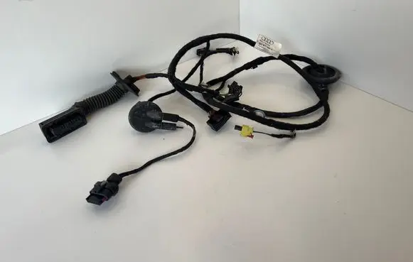 Audi A1 Front door wiring loom 8X0971030D 1DG48X0030D0G