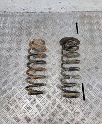 Rear coil spring