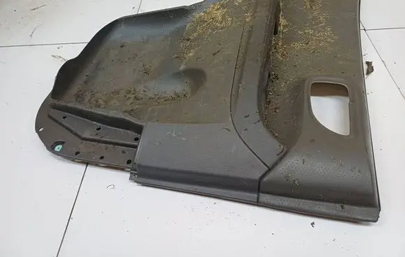 Hyundai Santa Fe Rear door card panel trim 621W02280