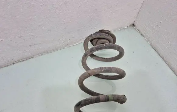 Nissan Qashqai+2 Rear coil spring 