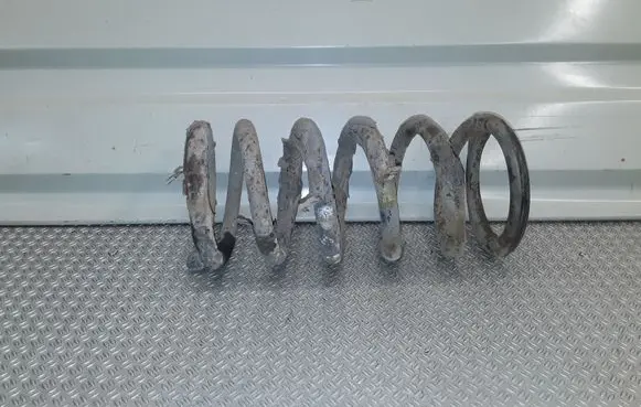 Rear coil spring