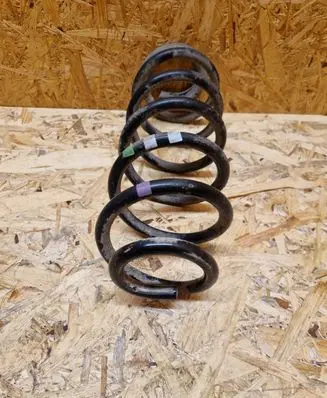 Rear coil spring