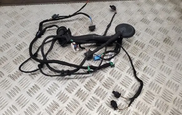 Audi Q8 Rear door wiring loom 4M8971687