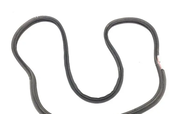 Ford Mustang V Rubber seal front door (on door) 