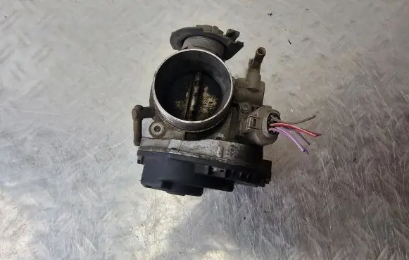 Volkswagen New Beetle Throttle valve 06A133066E