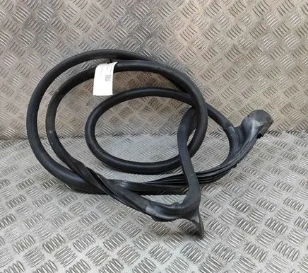 Audi A5 Rubber seal front coupe door 8W6831707