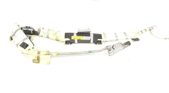 Tesla Model X Roof airbag P04787514AI