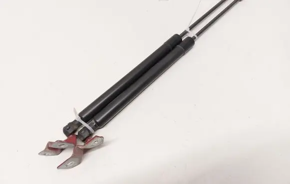 Tailgate/trunk strut/damper