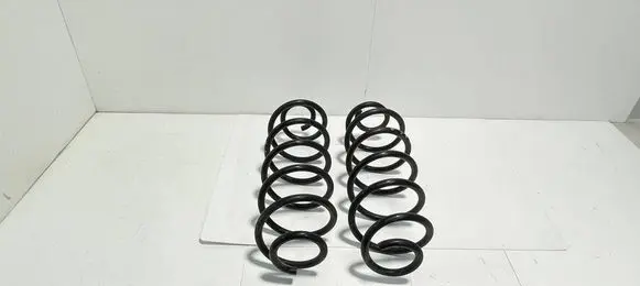 Rear coil spring