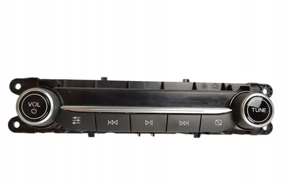 Ford Focus Head unit multimedia control 