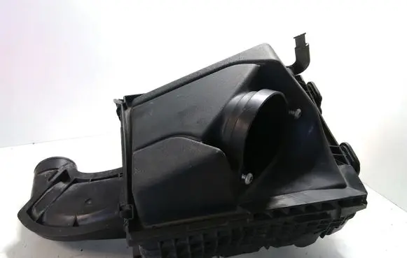 Renault Latitude (L70) Air filter box 8200545836
