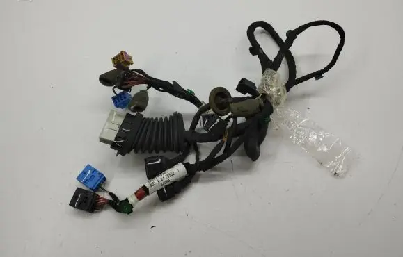 Bentley Flying Spur Rear door wiring loom 3W5971693A