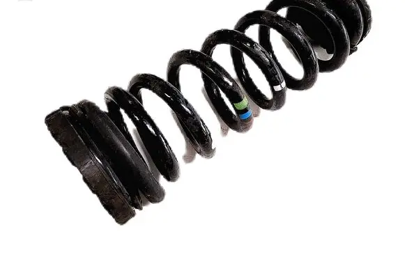 Rear coil spring